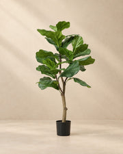 Kunstplant vioolbladplant (Ficus lyrata) van 90 cm hoog in pot van 12 cm