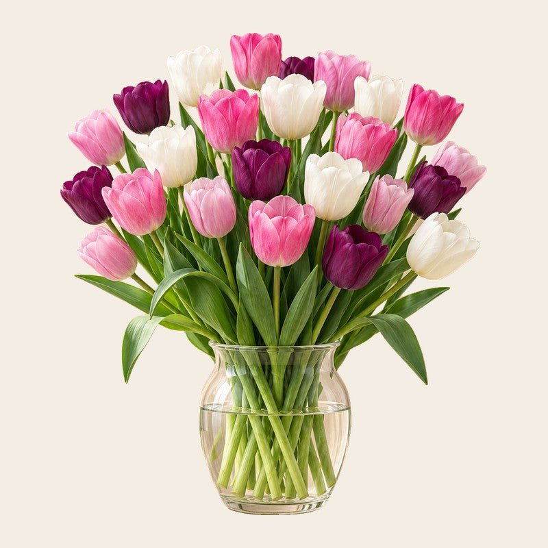 Tulpenbollen