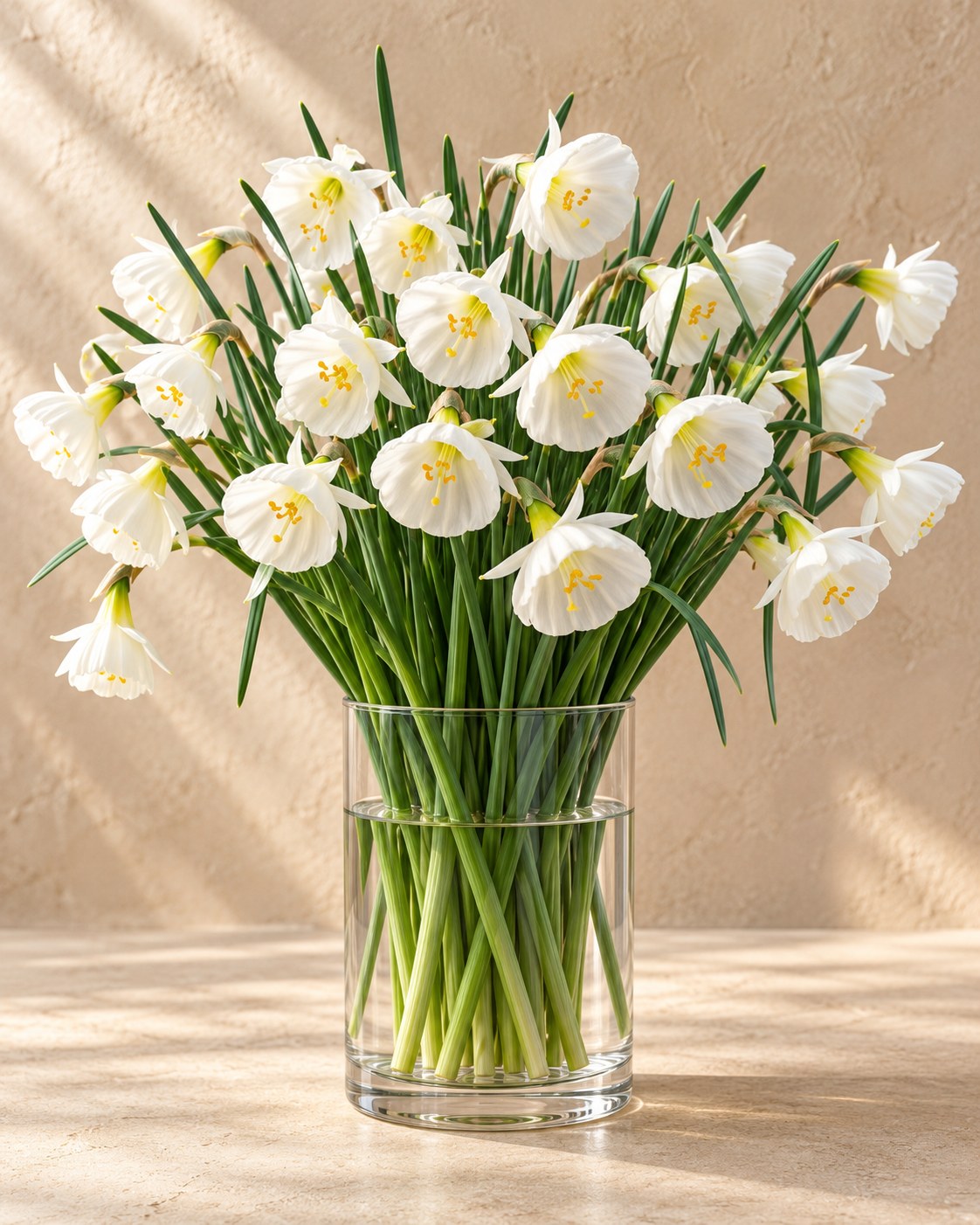 Narcis White Petticoat in bloei in een vaas