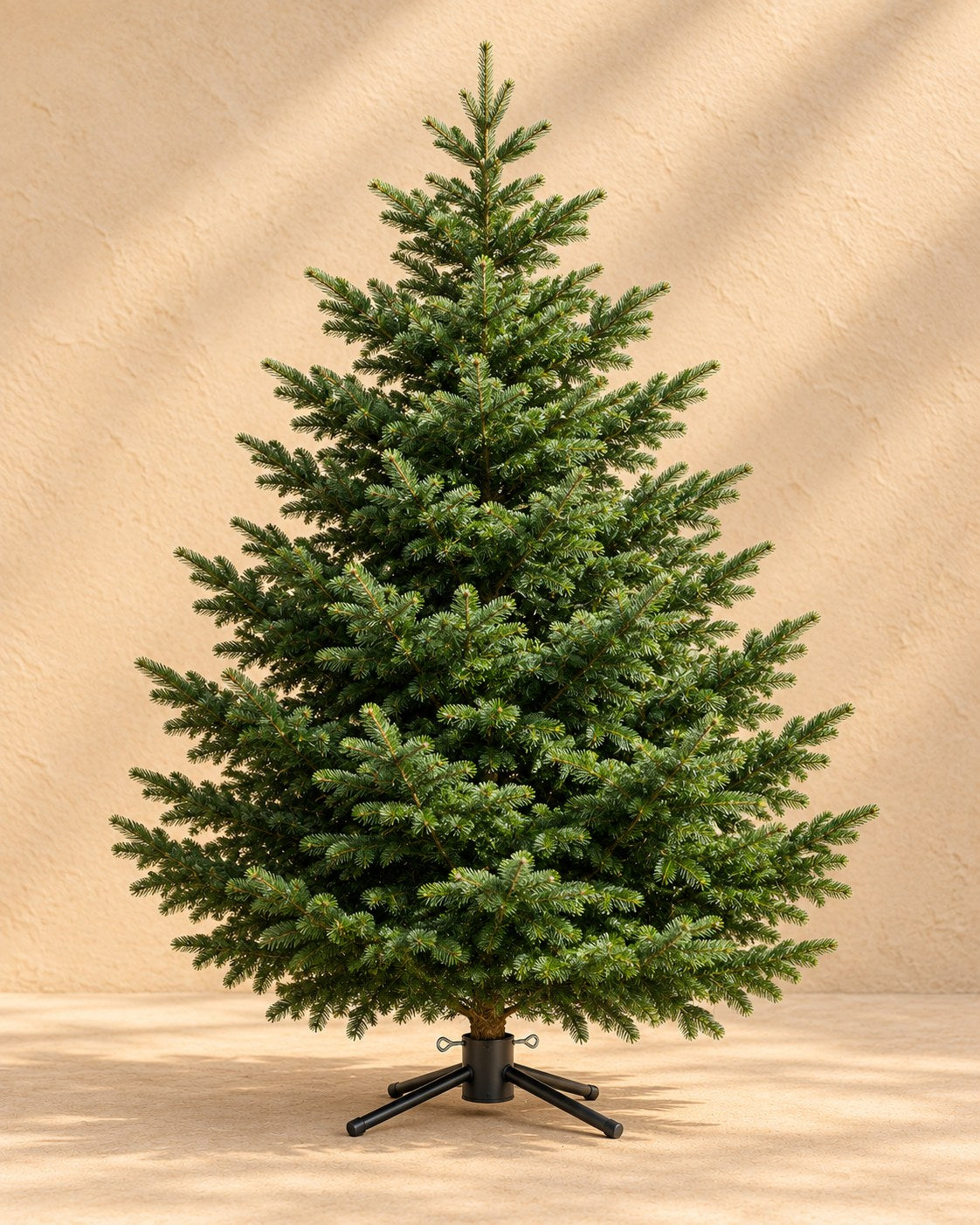 Nordmann kerstboom