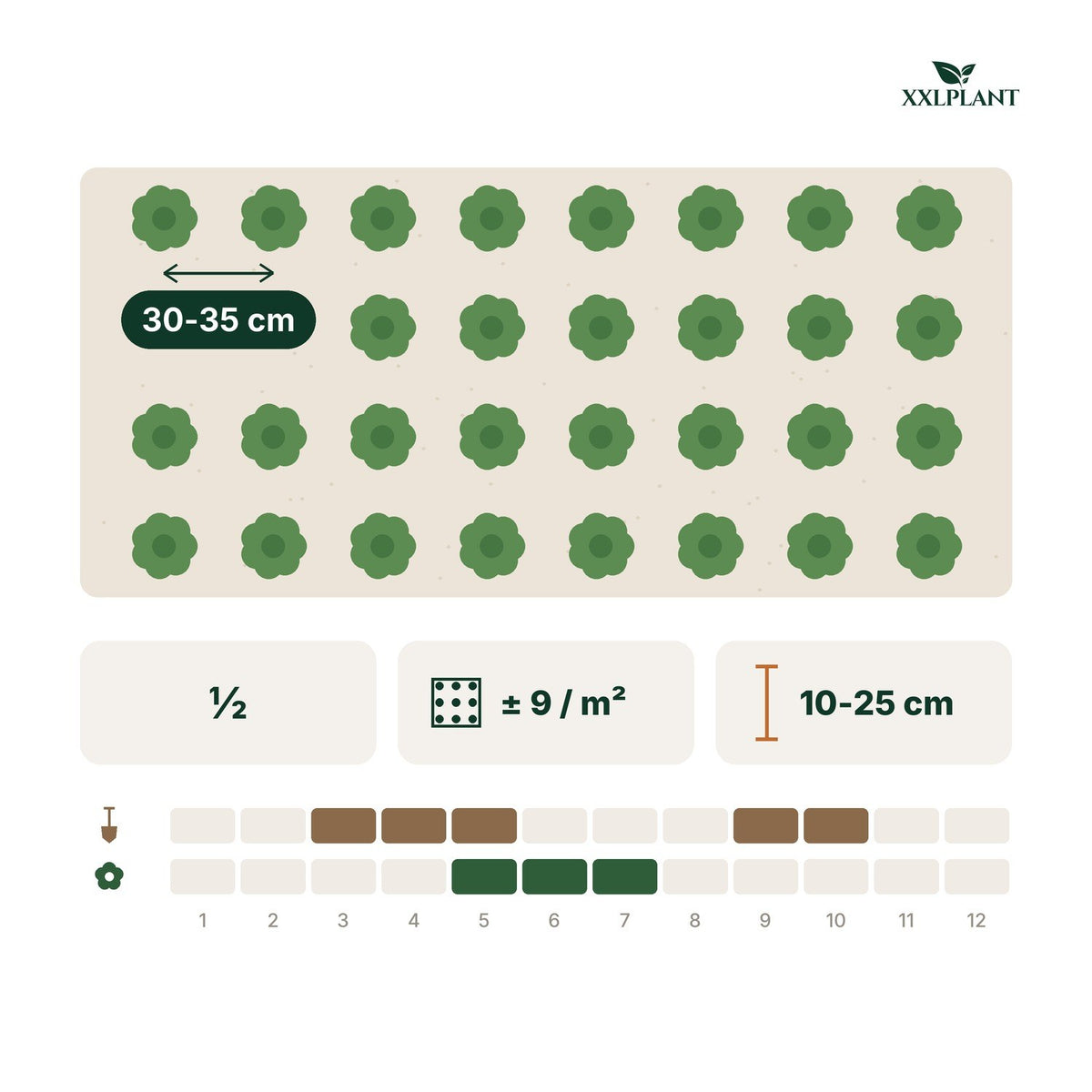 Plantkaart Ooievaarsbek 'Czakor': 30-35 cm uit elkaar, ongeveer 9 per m²