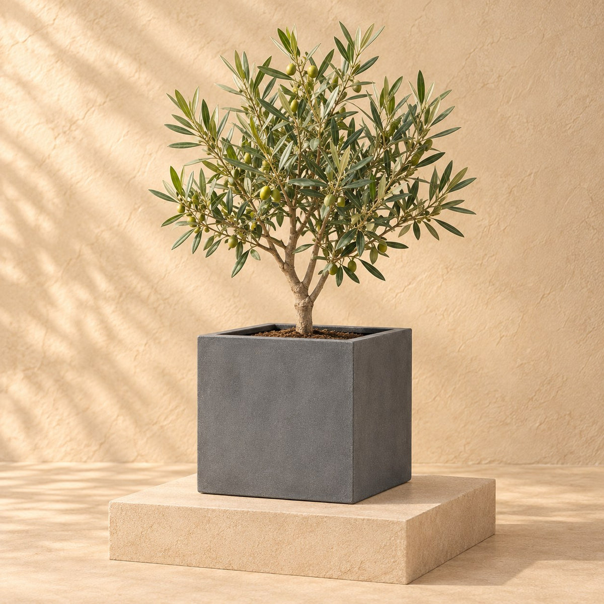 Pot décoratif Block Gris Ø30 x H30 cm, avec plante