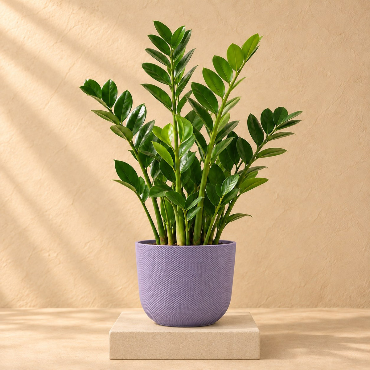 Doniczka dekoracyjna Elho Jazz Round Lavender Lilac Ø23 x W21 cm, z rośliną