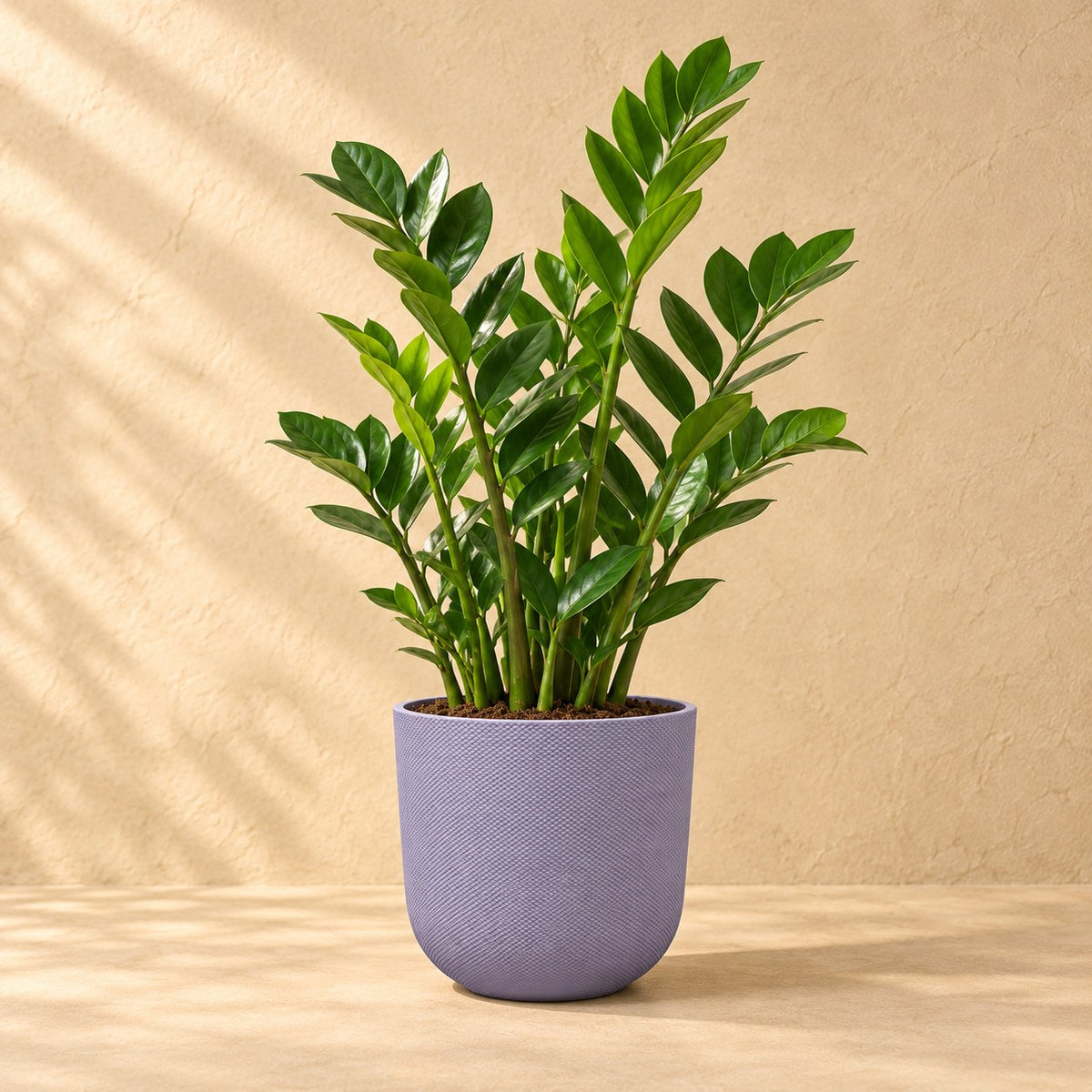 Doniczka dekoracyjna Elho Jazz Round Lavender Lilac Ø26 x W24 cm, z rośliną
