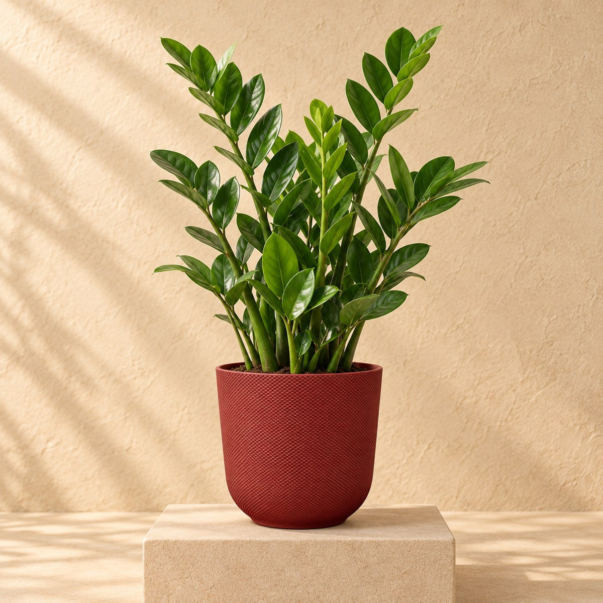 Sierpot Elho Jazz Round tuscan red Ø14 x H13 cm, beplant