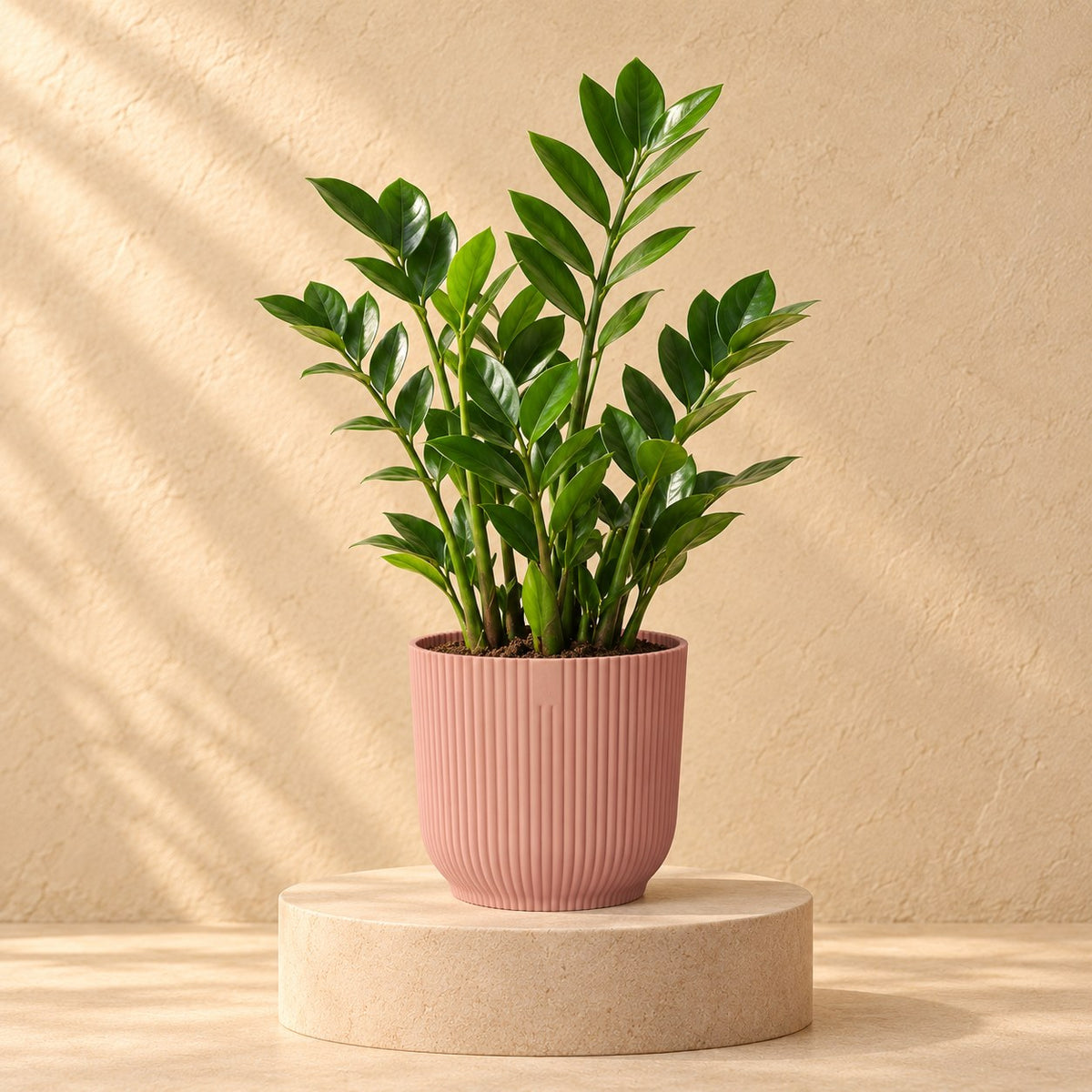 Ziertopf elho Vibes Fold Round rosa Ø14 x H13 cm, bepflanzt