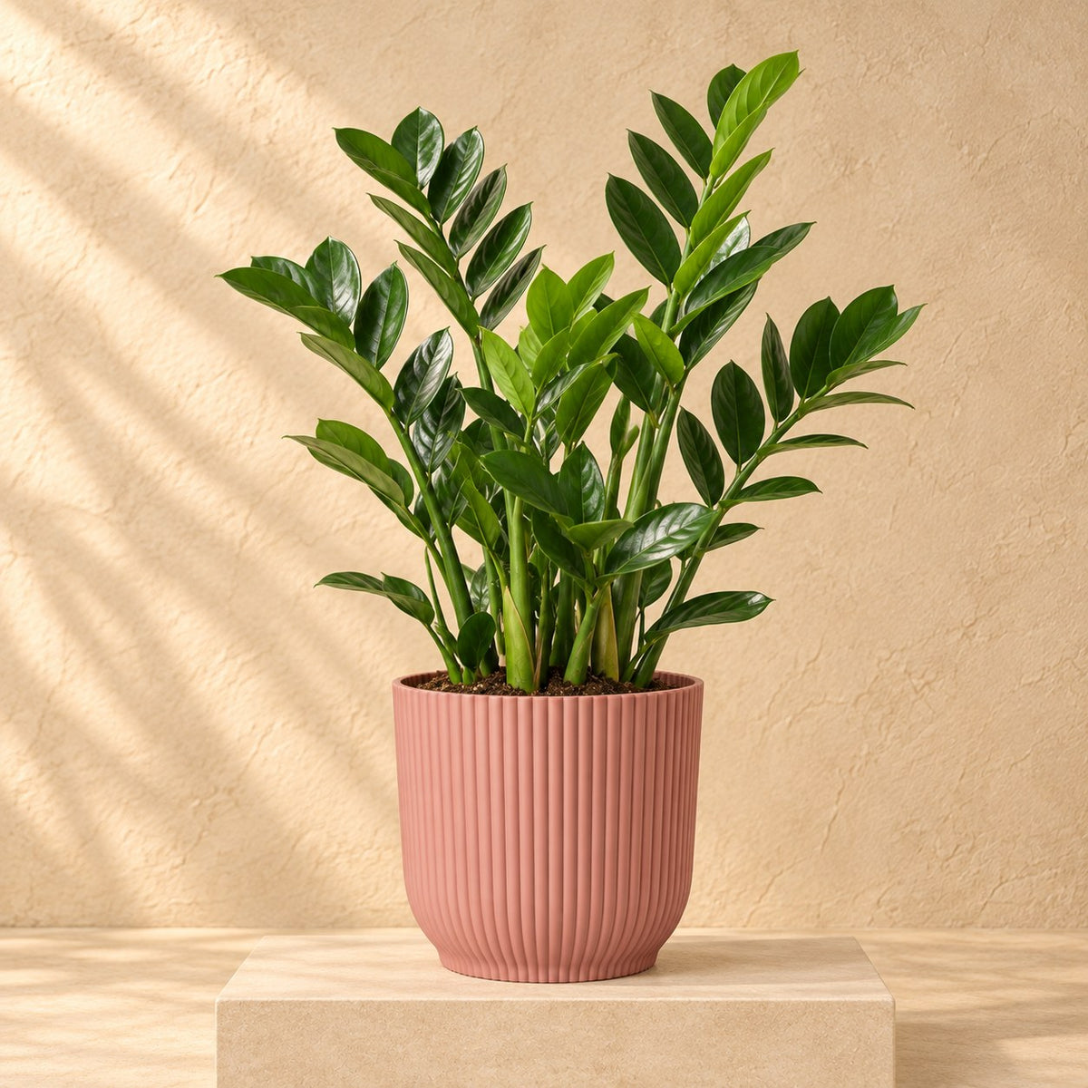 Ziertopf elho Vibes Fold Round rosa Ø22 x H20 cm, bepflanzt