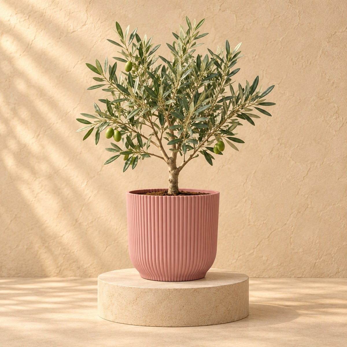 Ziertopf elho Vibes Fold Round rosa Ø25 x H23 cm, bepflanzt
