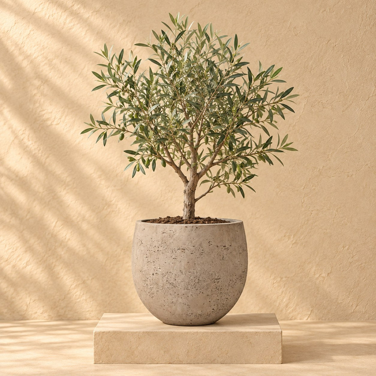 Ziertopf Orb Grey Washed Ø32 x H28 cm, bepflanzt