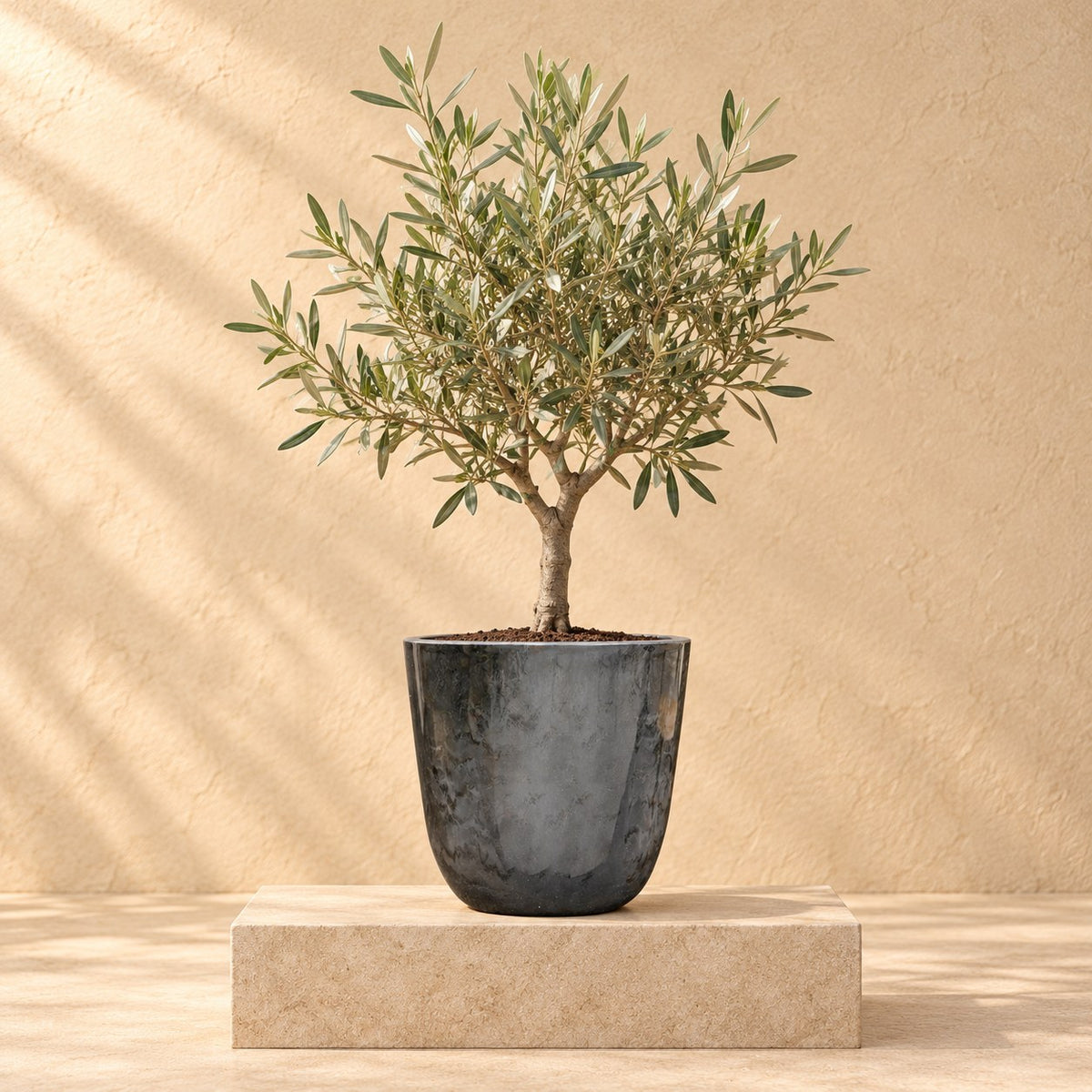 Dekorativ potte Palermo marble grå Ø27 x H25 cm, med plante