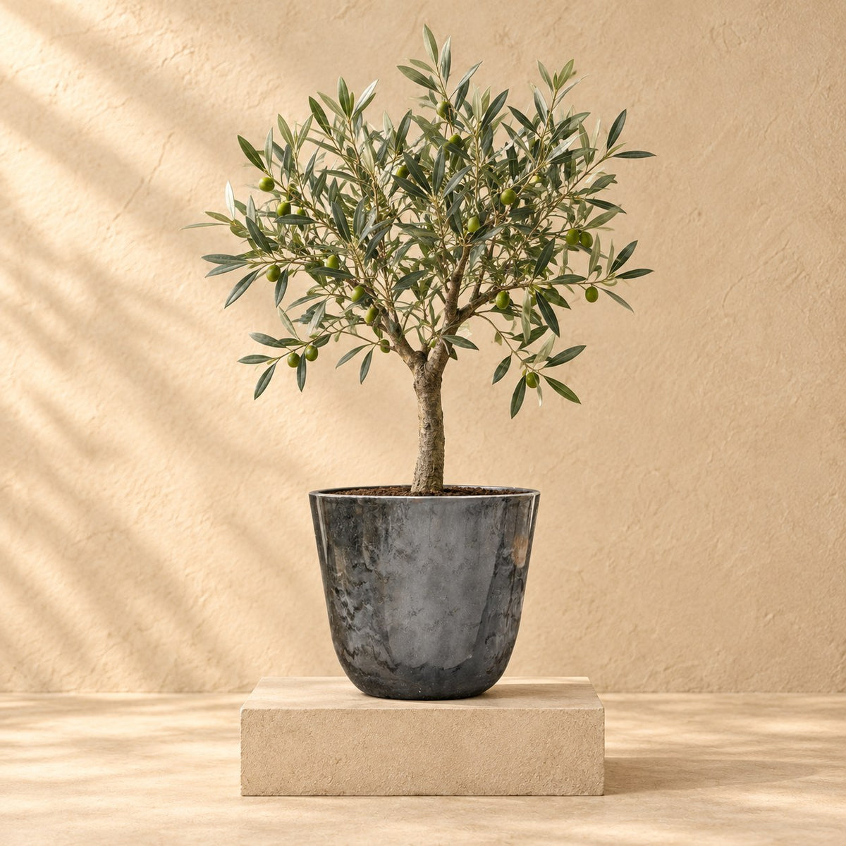 Ziertopf Palermo marble grau Ø30 x H28 cm, bepflanzt