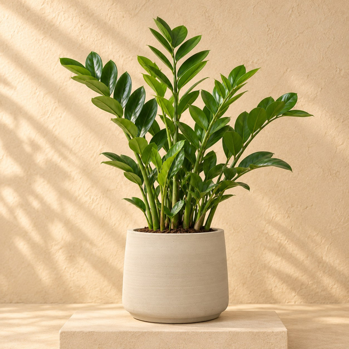 Pot décoratif Patt Beige Washed Ø23 x H19 cm, avec plante