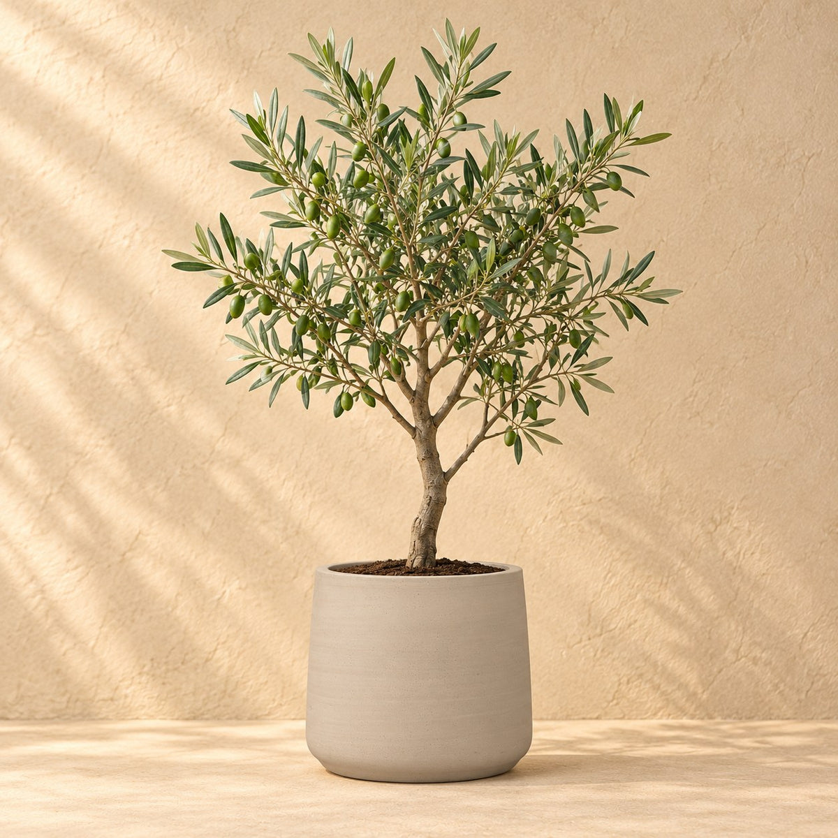 Pot décoratif Patt Beige Washed Ø34 x H28 cm, avec plante