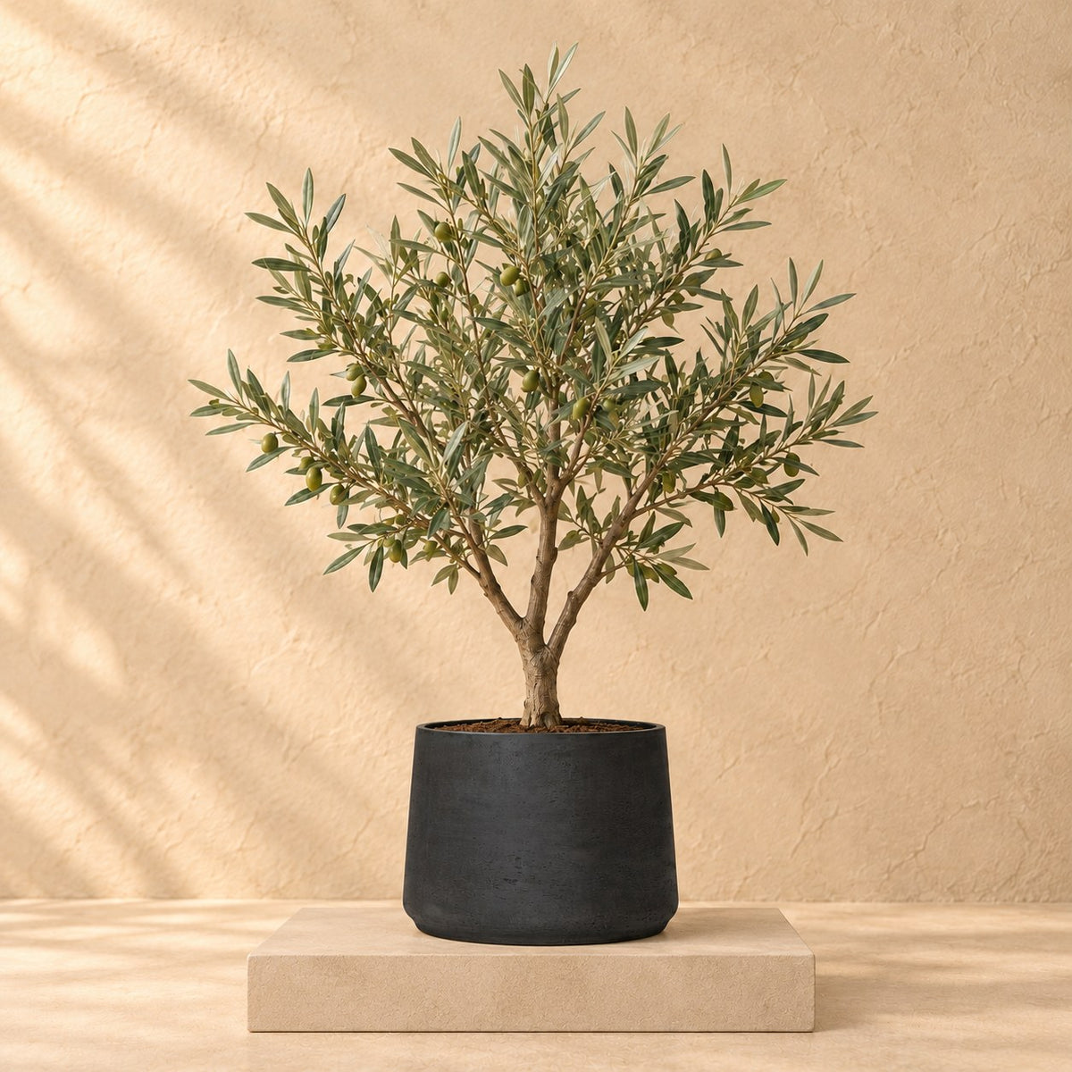 Pot décoratif Patt Black Washed Ø34 x H28 cm, avec plante