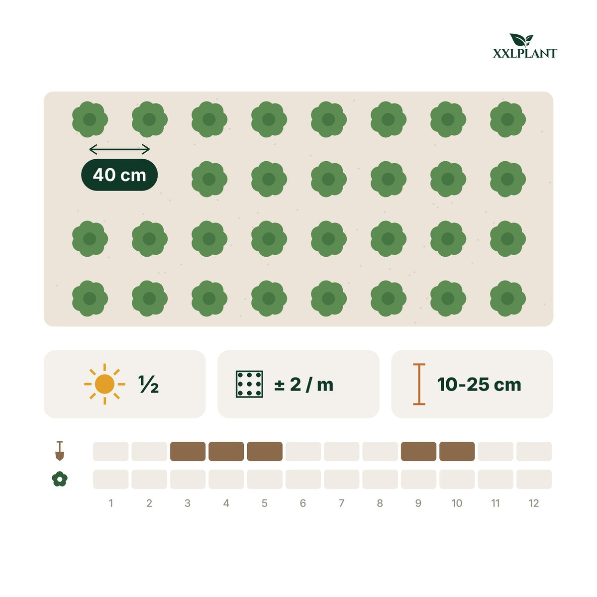 Planteringskort Myrtentry 'Maigrün'