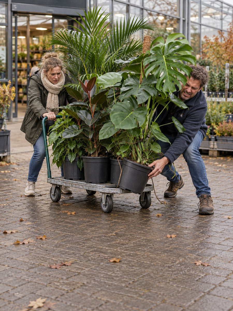 Een stel met een overvolle plantenkar voor een tuincentrum