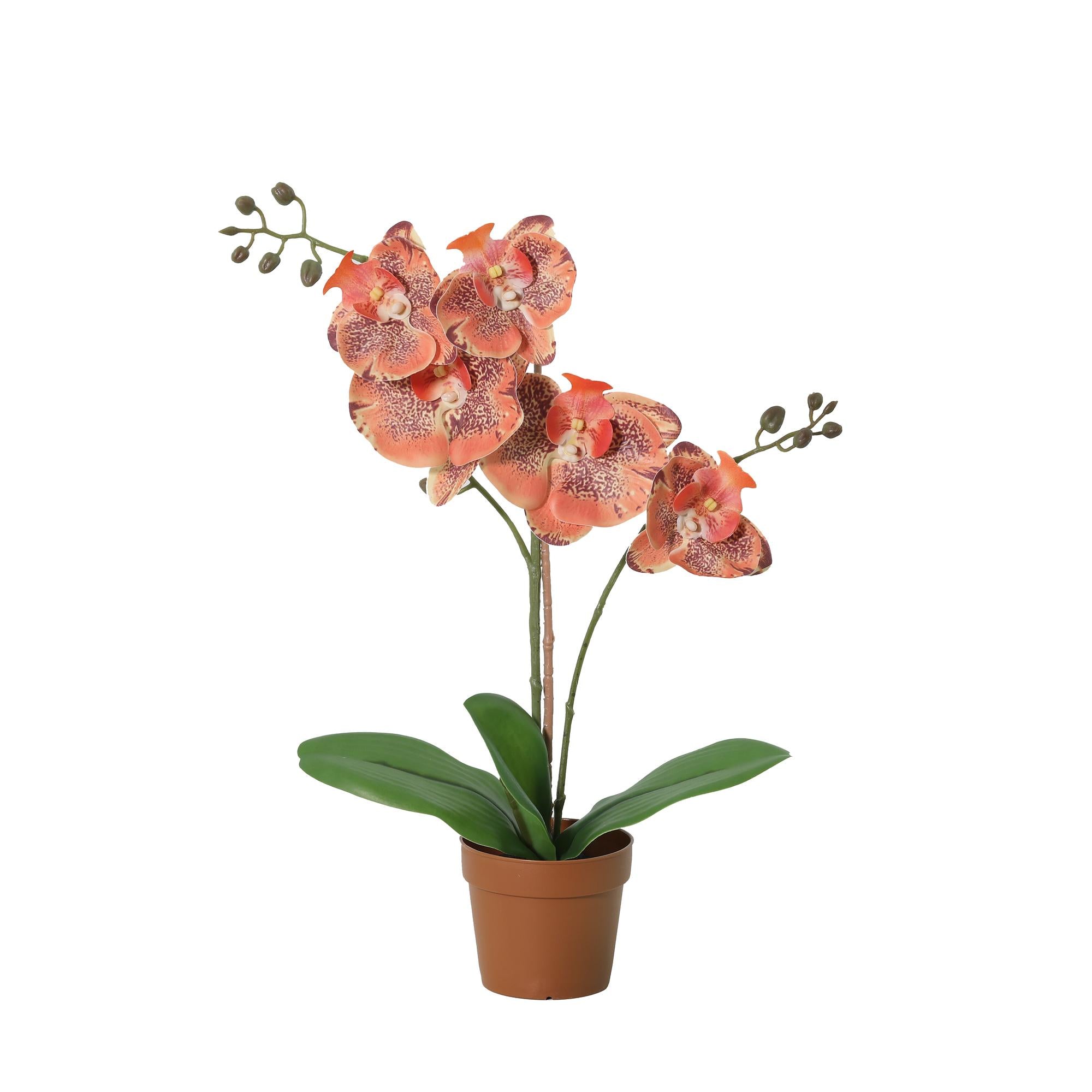 Kunstplant Phalaenopsis Orchidee oranje 42cm - ø9