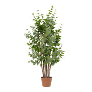 Kunstplant Eucalyptus