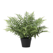 Kunstplant Nephrolepis Exaltata