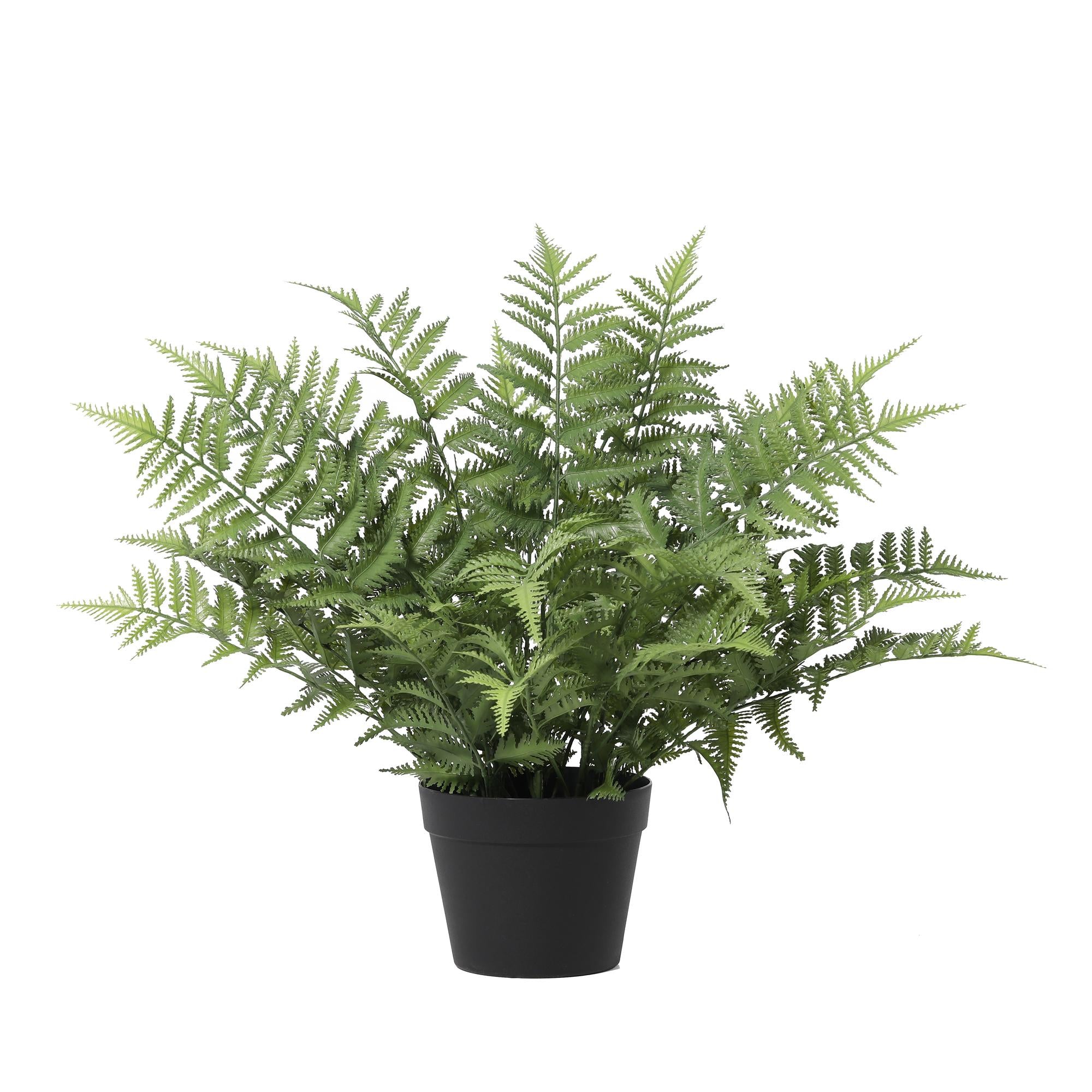 Kunstpflanze Nephrolepis Exaltata 59cm - ø18