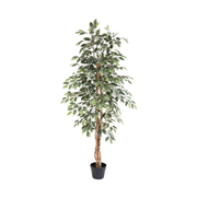 Kunstplant Ficus Benjamina Variegata