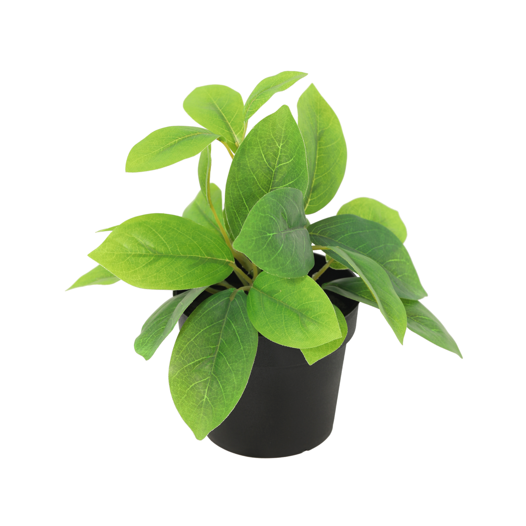 Kunstpflanze Hoya grün 20cm - ø9