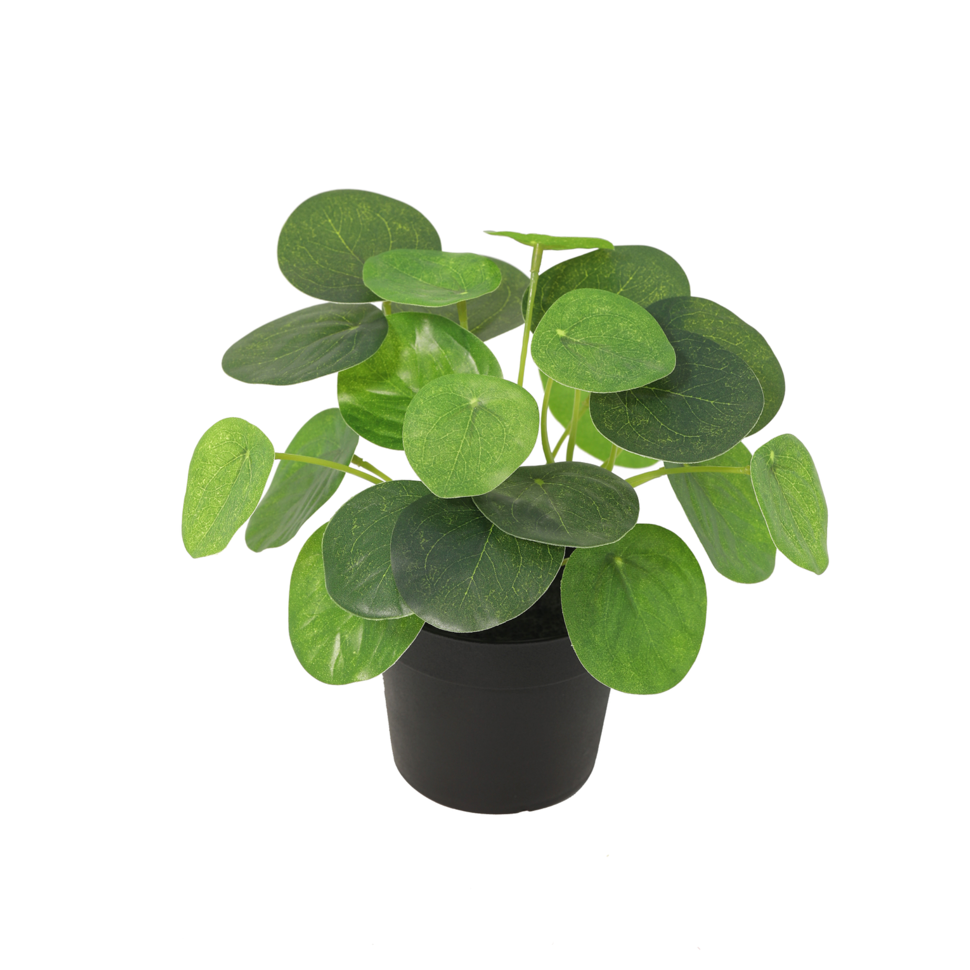 Kunstplant Pilea Peperomioides 18cm - ø9