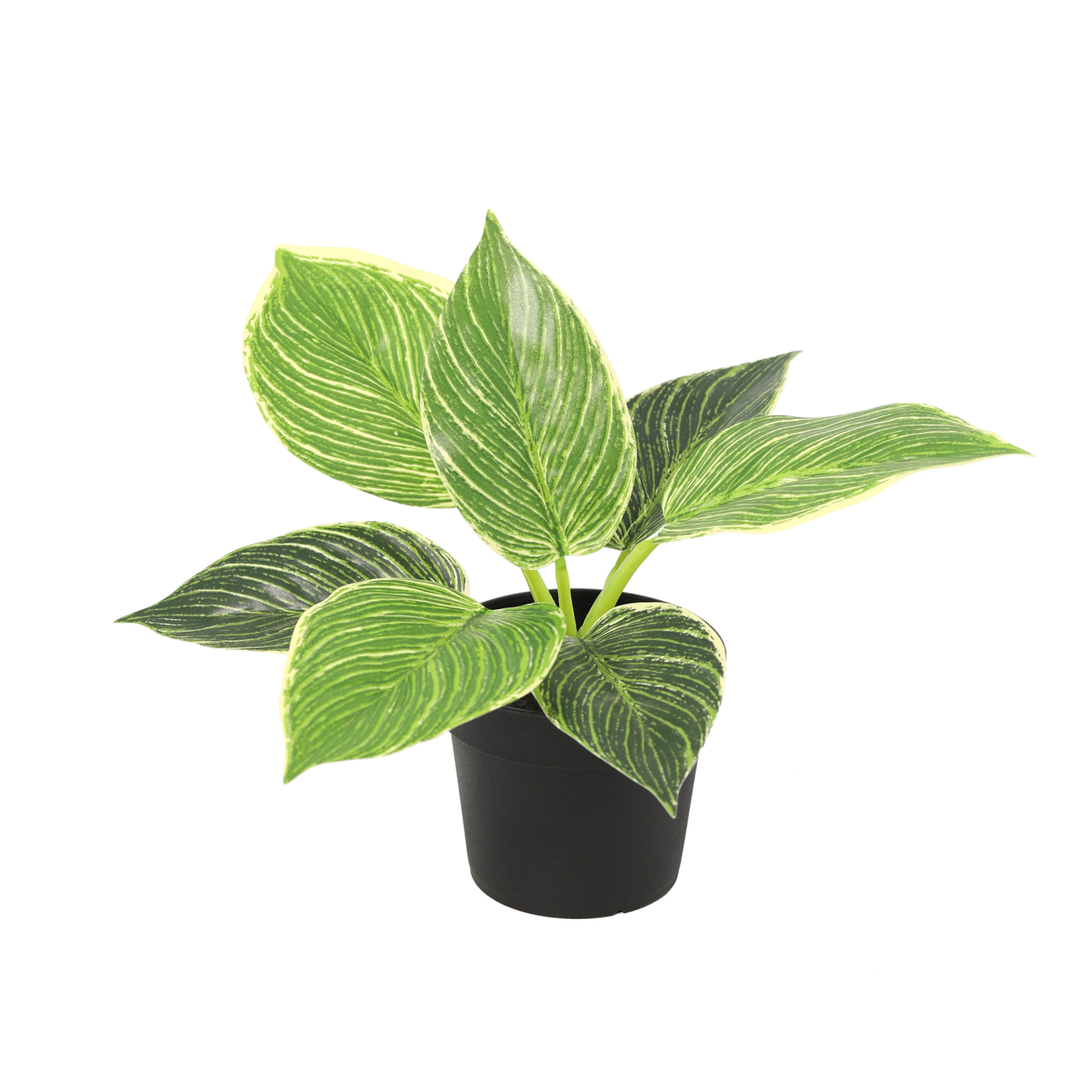 Kunstpflanze Philodendron Birkin 20cm - ø9