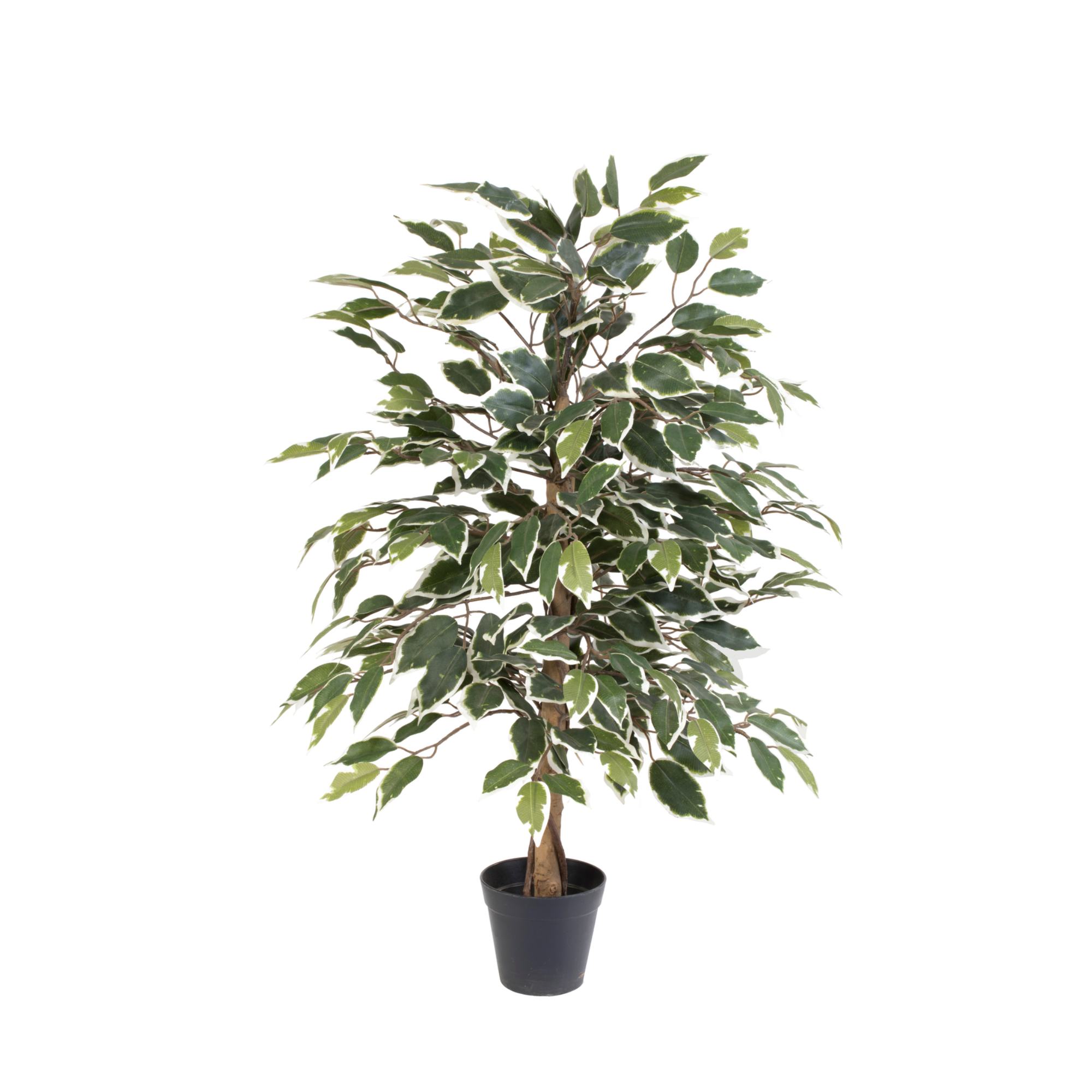 Kunstplant Ficus Benjamina Variegata 85cm - ø13