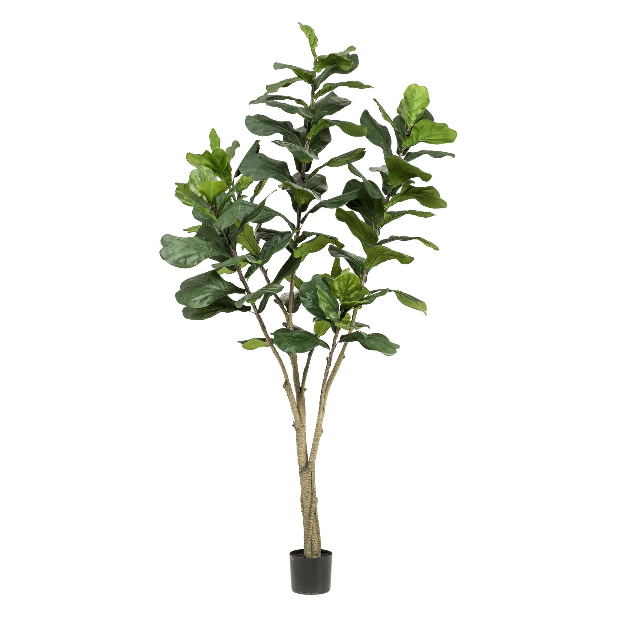 Kunstplant Ficus lyrata 210 cm