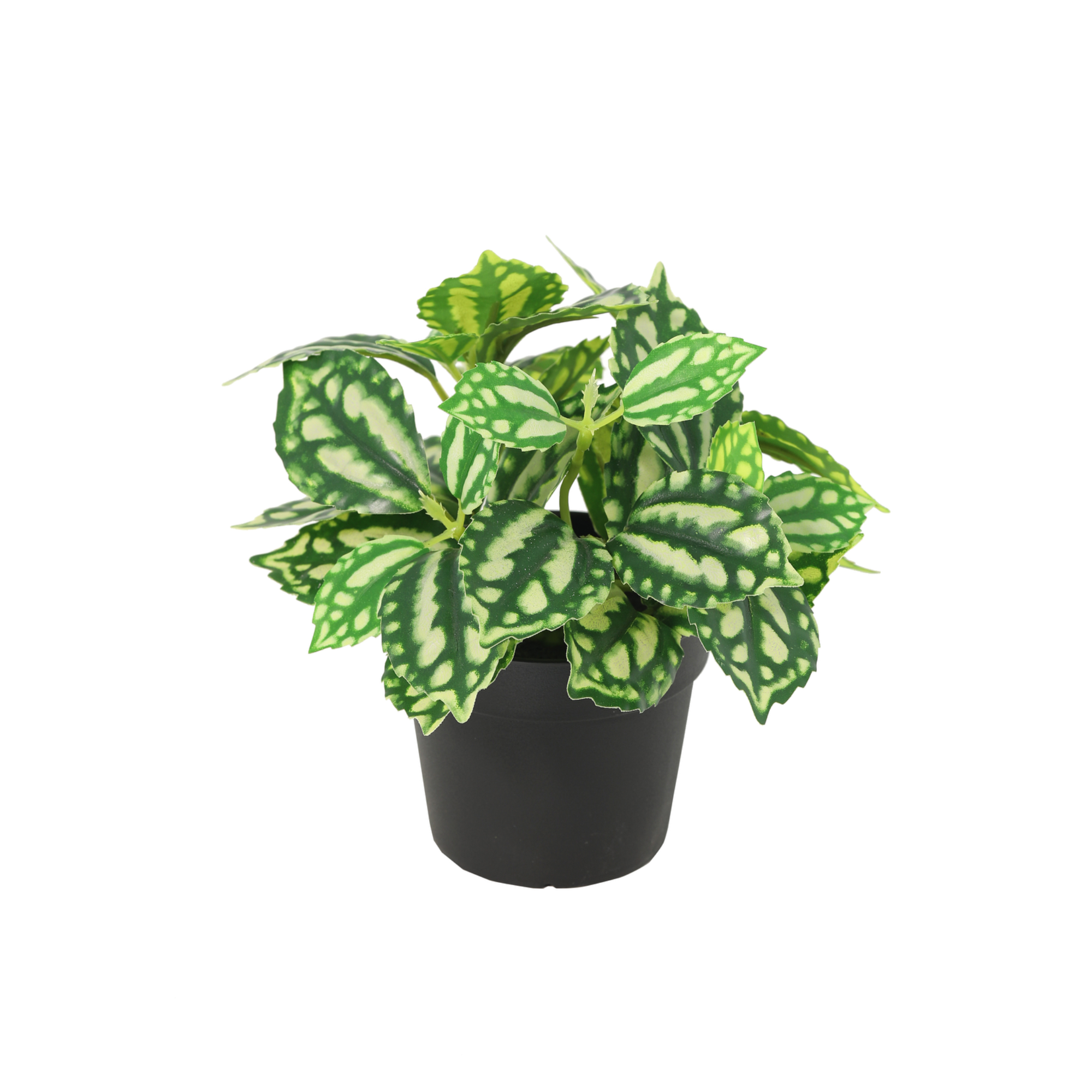Kunstplant Ijskruid 8cm - ø9
