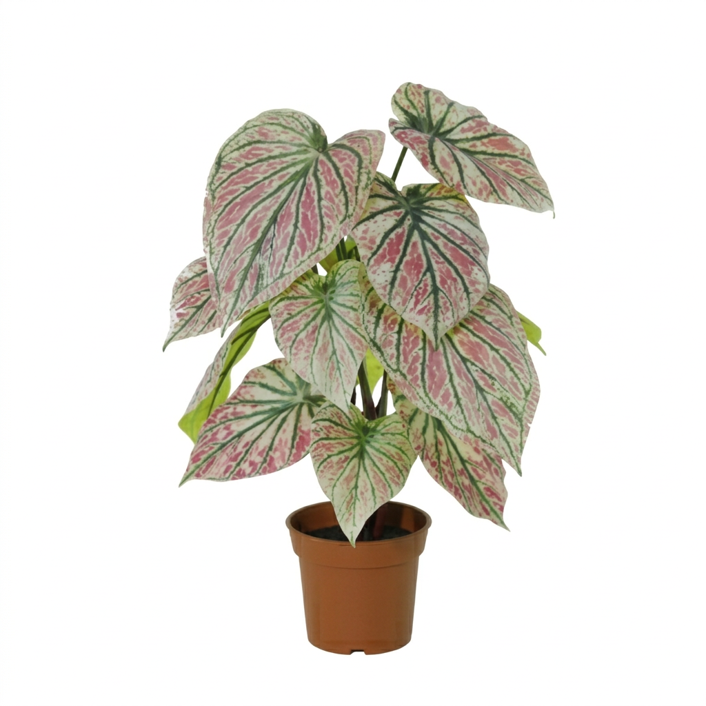 Kunstplant Caladium groen roze 57cm - ø15