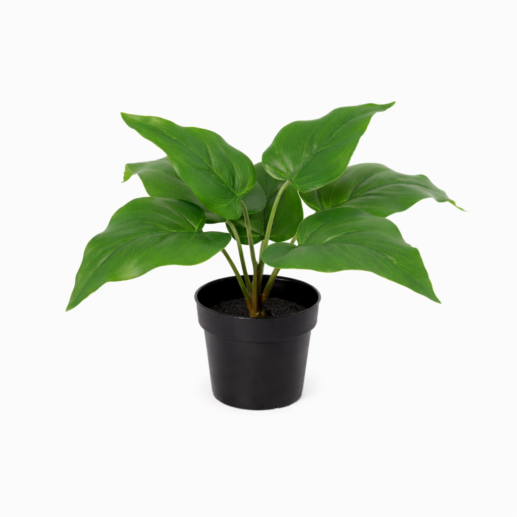 Kunstplant Philodendron Imperial Green 25cm - ø9