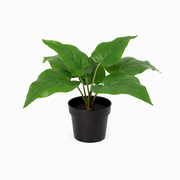 Kunstplant Philodendron Imperial Green