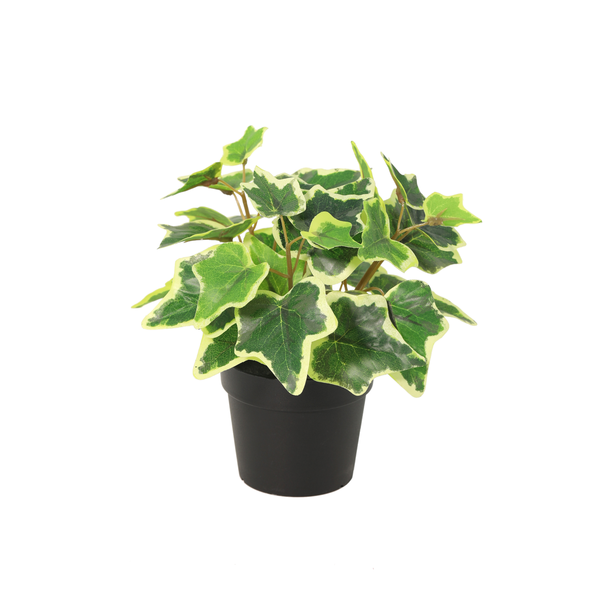 Kunstplant Klimop wit bont 19cm - ø9