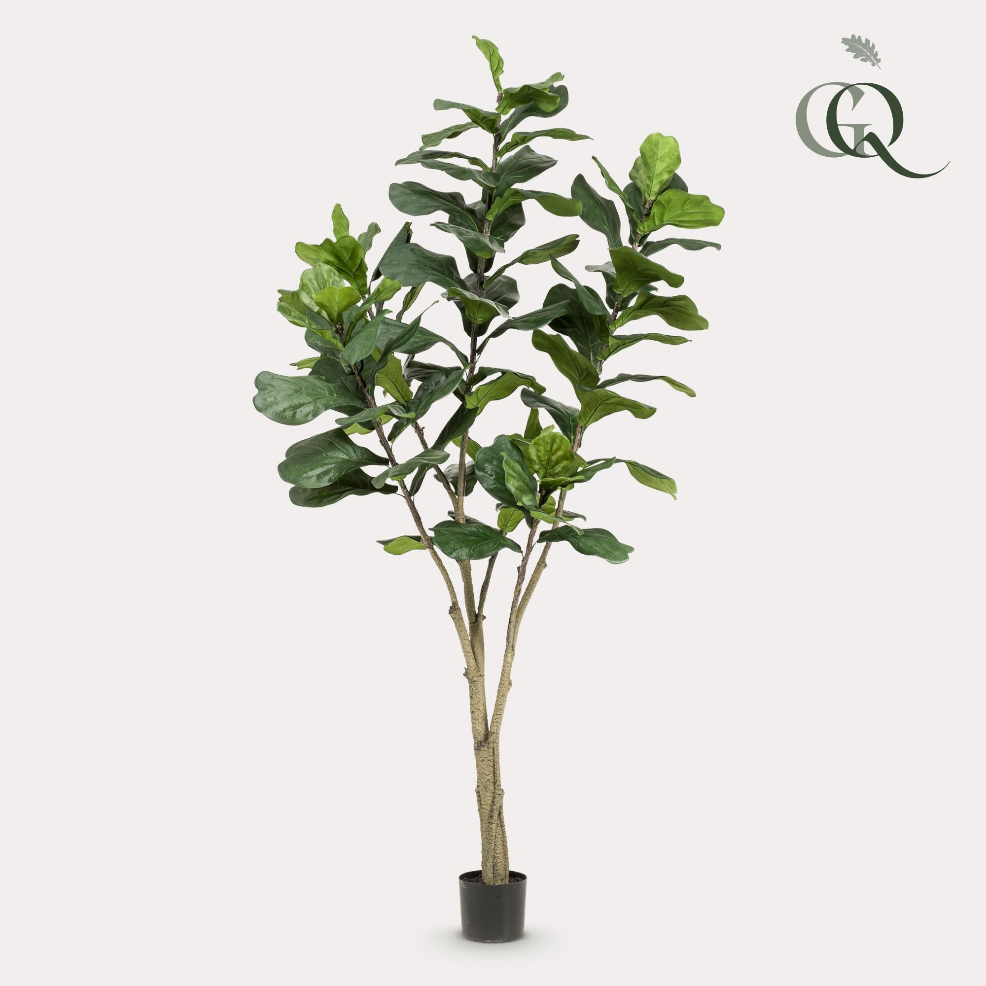 Kunstplant Ficus lyrata 210 cm