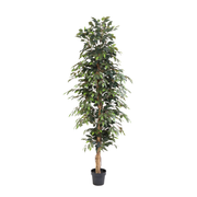 Kunstplant Ficus Benjamina