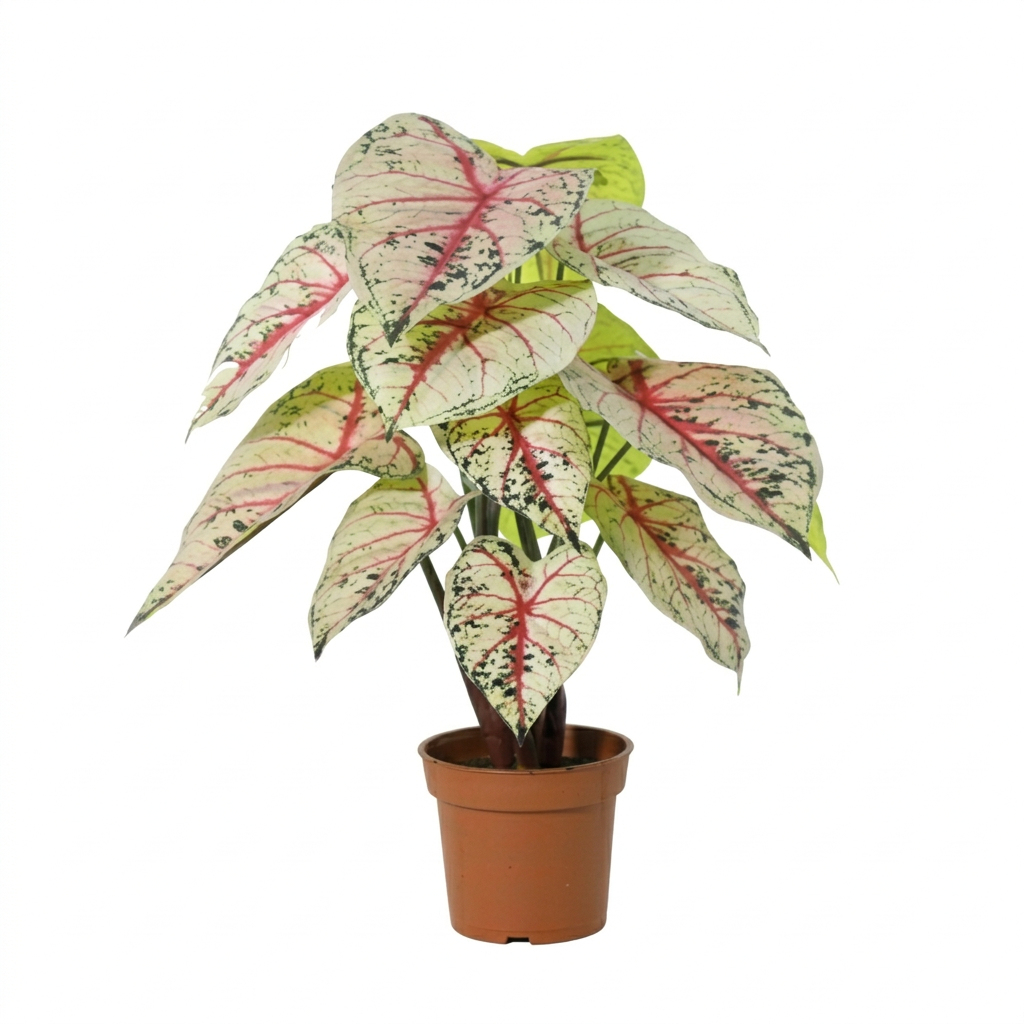 Kunstplant Caladium wit roze 57cm - ø15