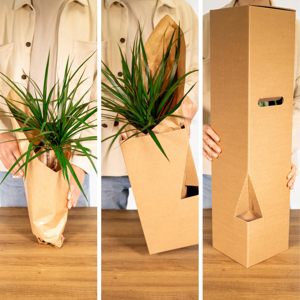 Buitenbeentjesbox