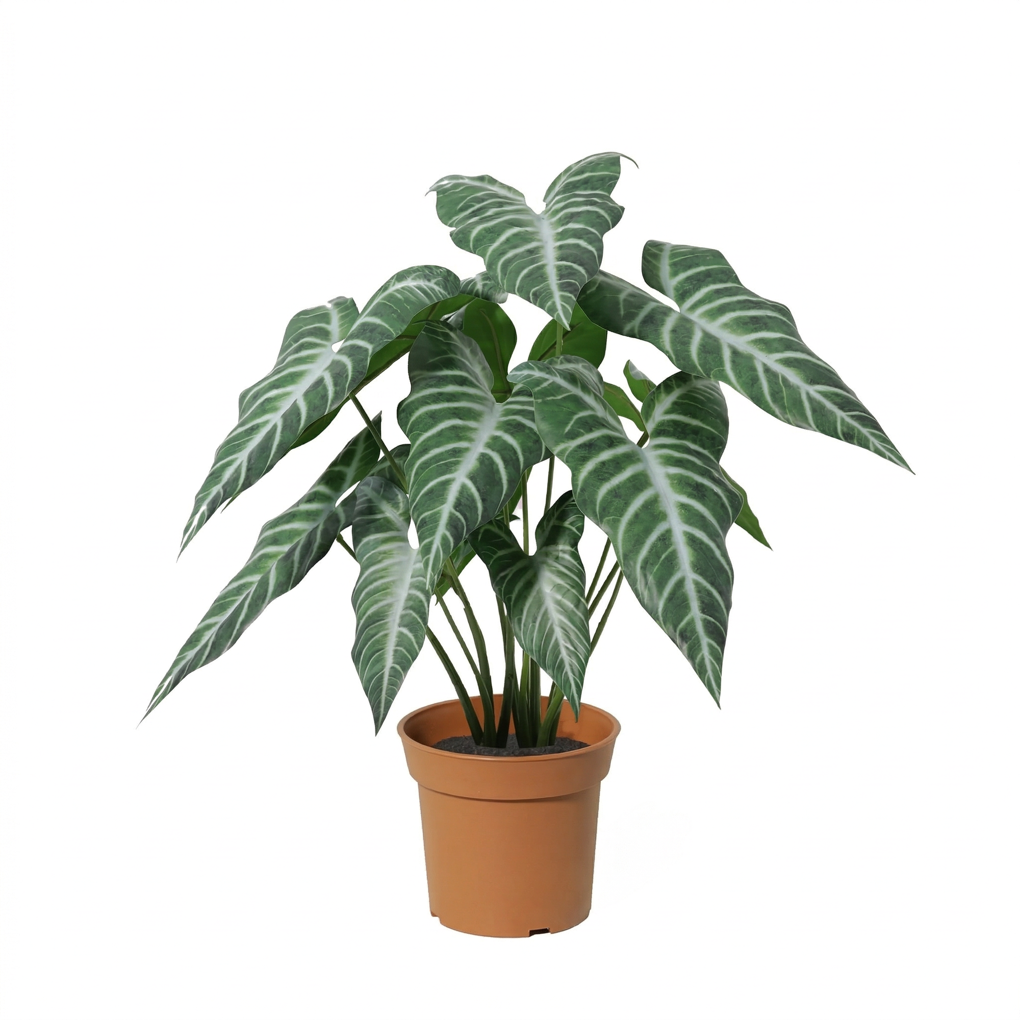 Kunstplant Alocasia Polly 49cm - ø15