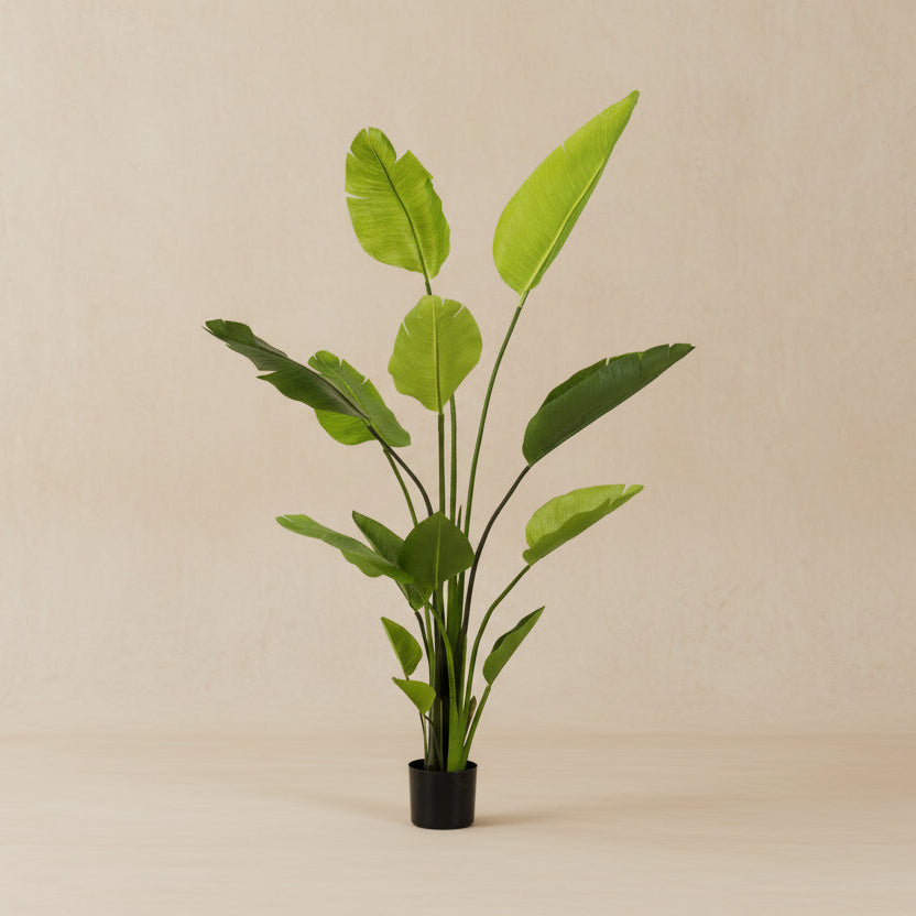 Artificial plant - Strelitzia Nicolai - Bird of Paradise flower - 150cm