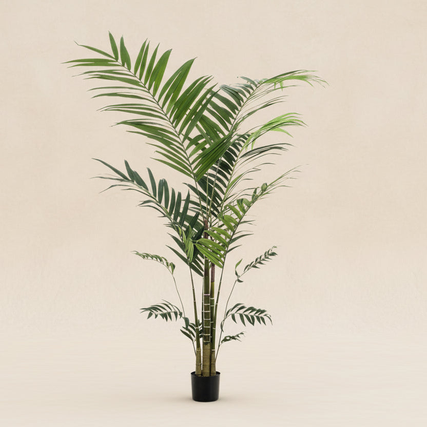 Artificial plant - Kentia palm - 210cm