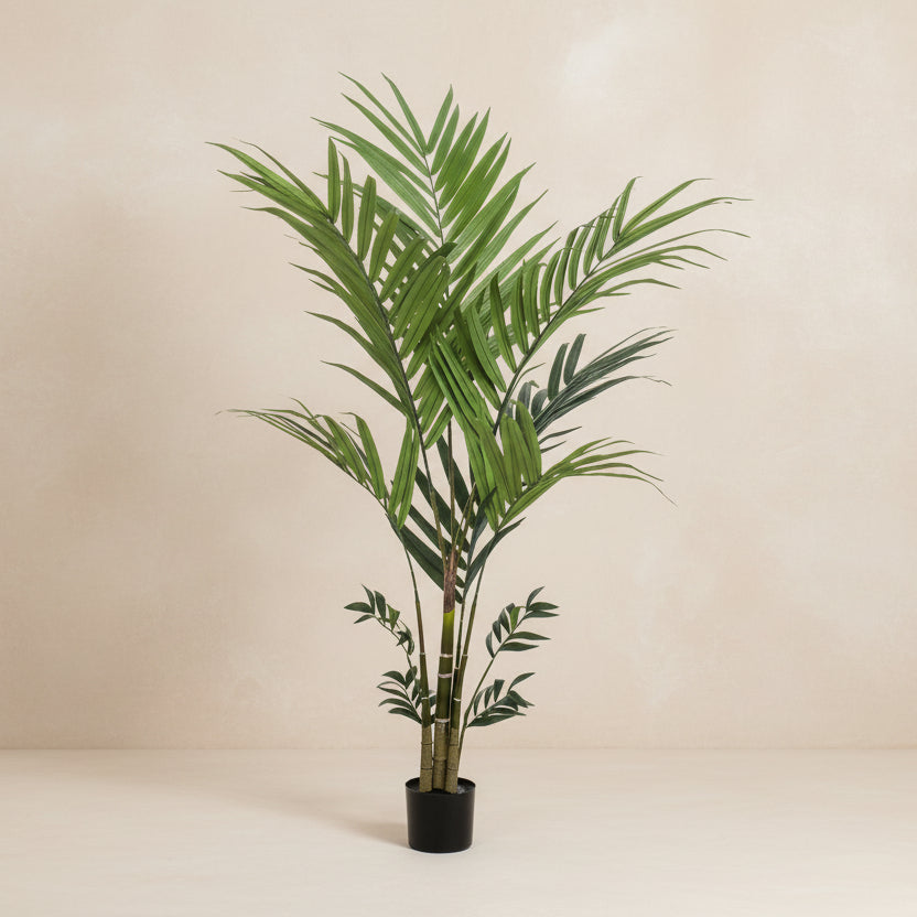 Artificial plant - Kentia palm - 180cm