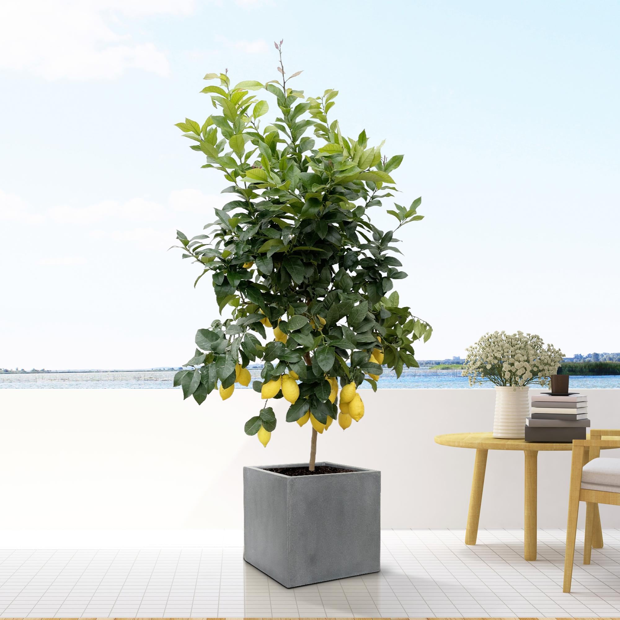 Sierpot Block Grey Ø60 x H60 cm