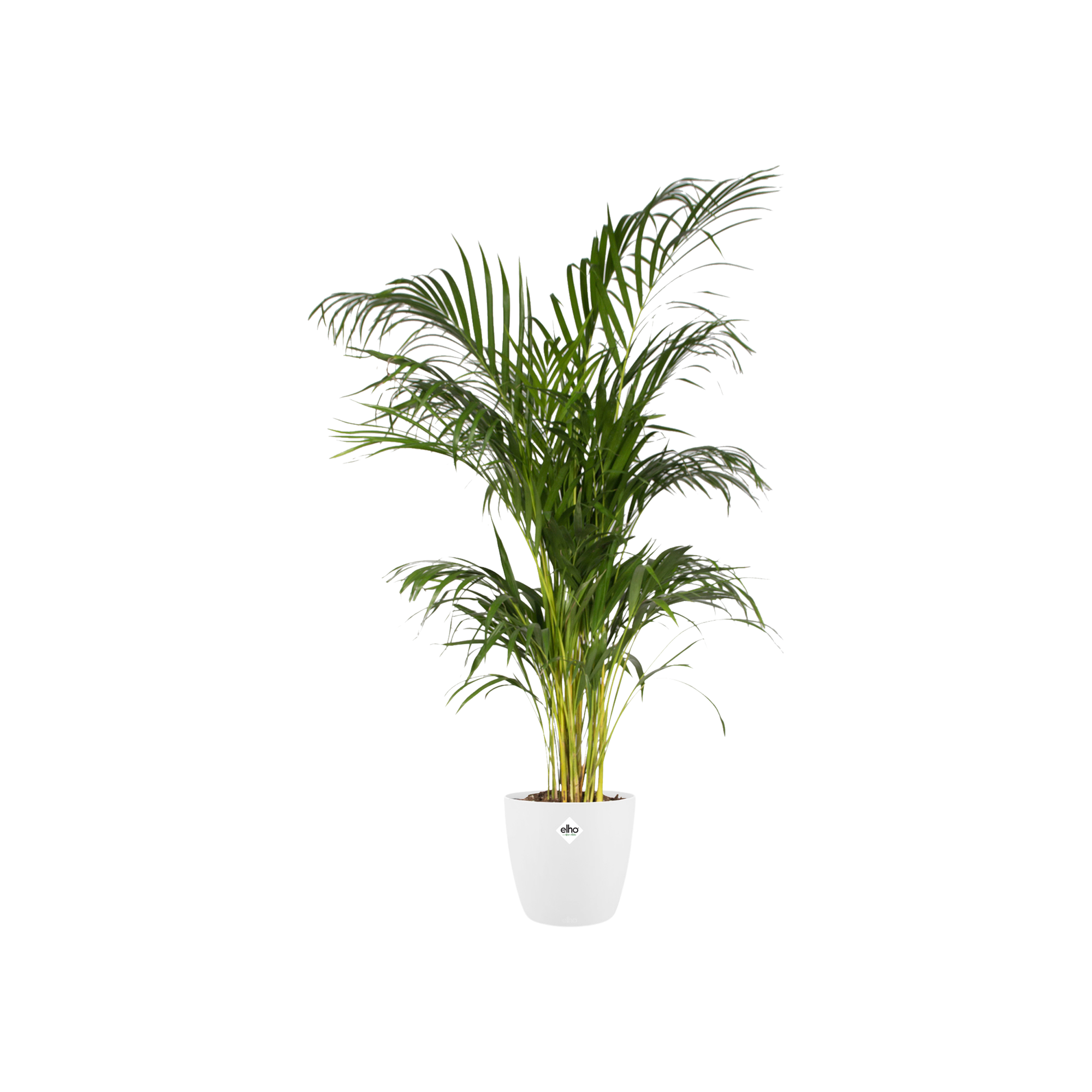 Sierpot Elho Brussels round wit Ø30 x H27 cm