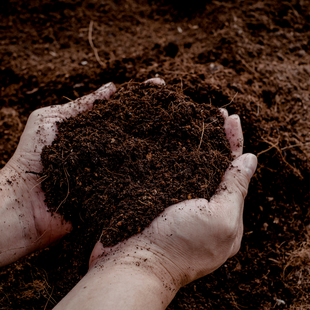Potgrond Universeel 30 Liter Voor Binnen en Buitenplanten ø4
