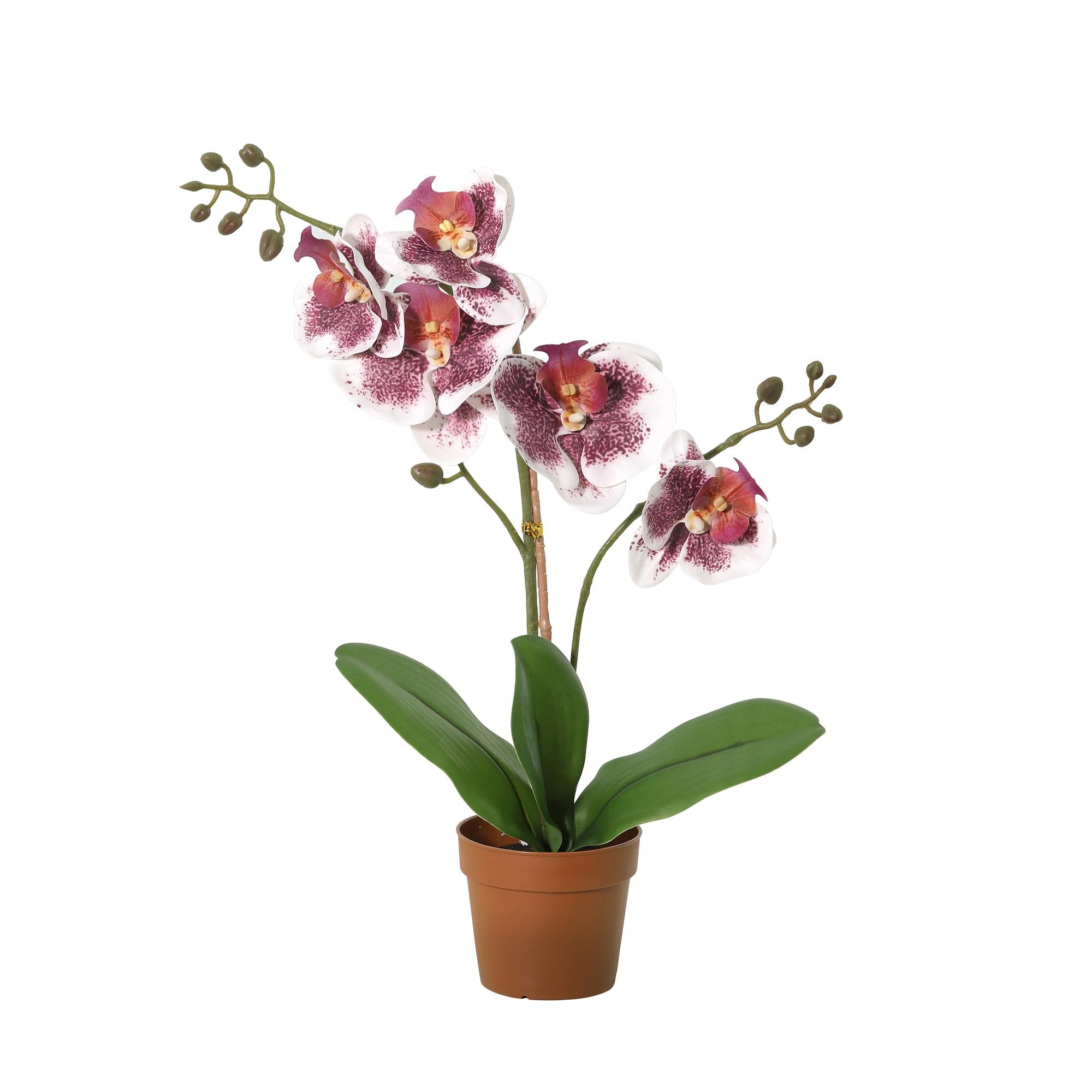 Kunstplant Phalaenopsis Orchidee paars wit 43cm - ø9