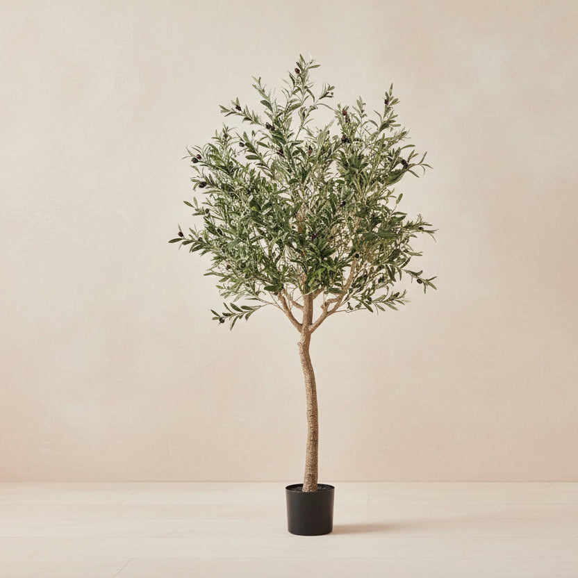 Artificial Olive Tree - Olea europaea - 180cm