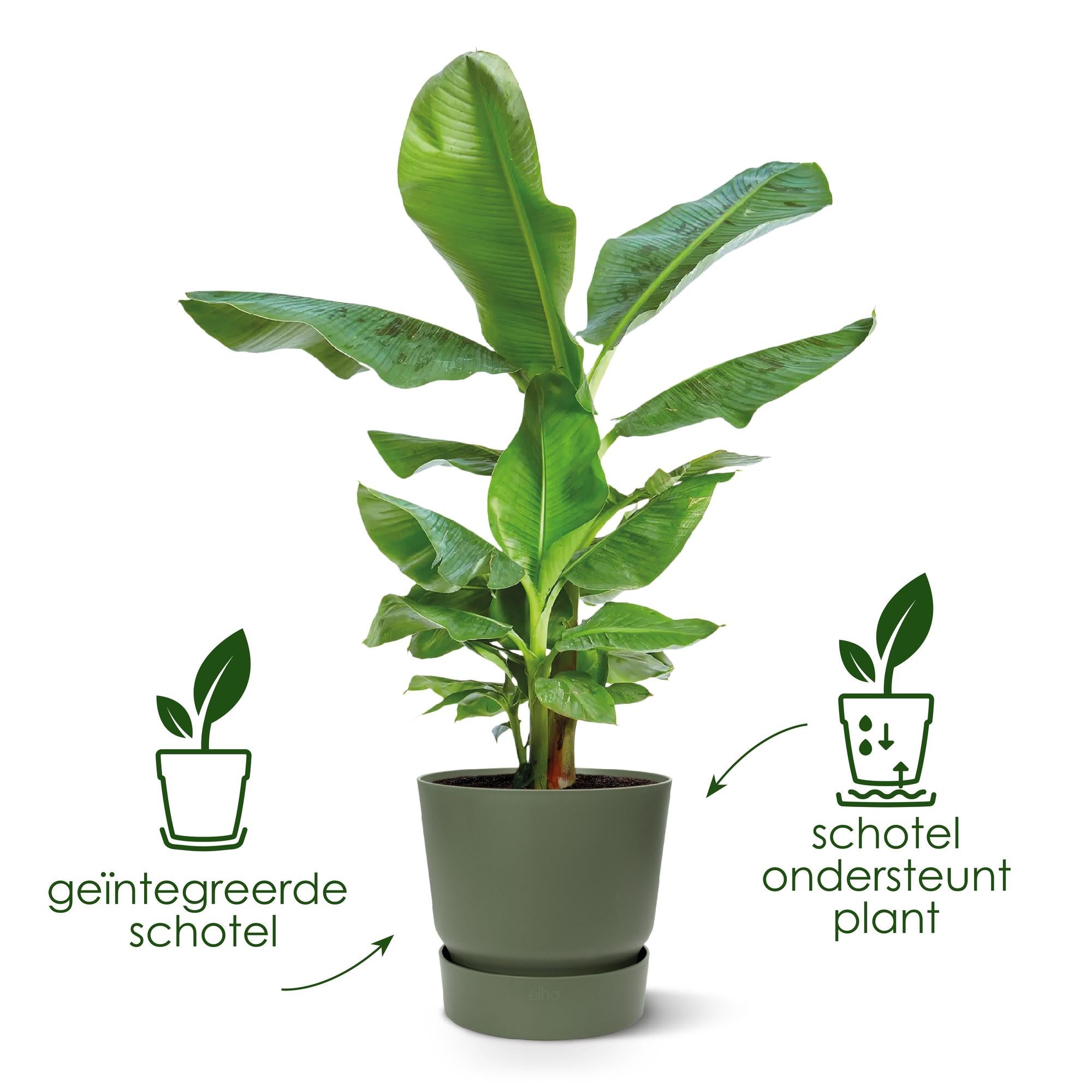 Sierpot Elho Greenville wit Ø39 x H37 cm