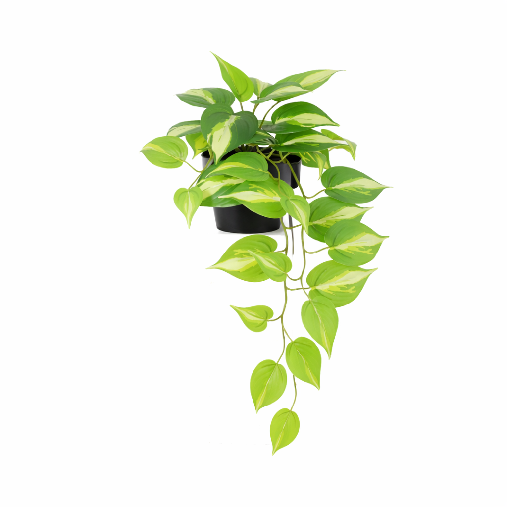 Kunstpflanze Epipremnum Variegata 37cm - ø9